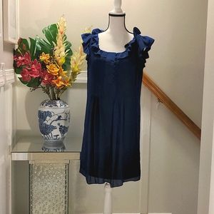 French Blue Silk & Chiffon Ruffle Sleeve dress 👗